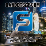 Mengapa Kita Di Wajibkan Bermain Bandar Togel Singapore ?
